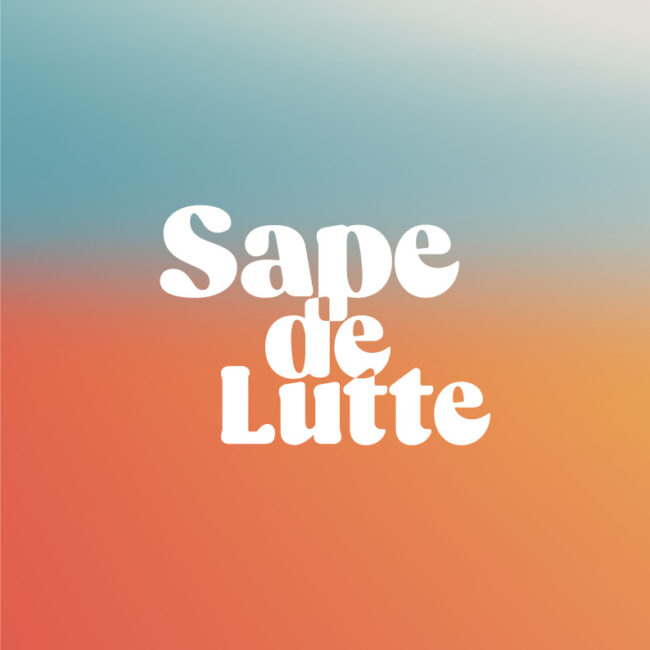 Sape de lutte logo sur fond couleur